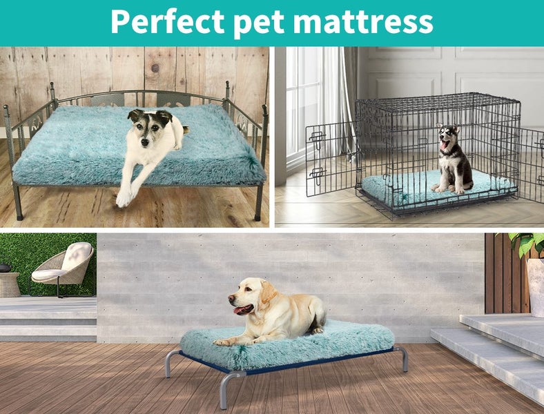 Pawz Pet Calming Bed Memory Foam Removable Cover Washable Green S M L XL XXL Carousel 9