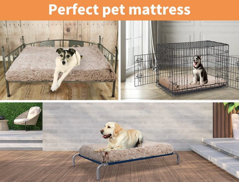 Pawz Dog mat Pet Calming Bed memory Foam Orthopedic Removable Cover Washable L Carousel 9