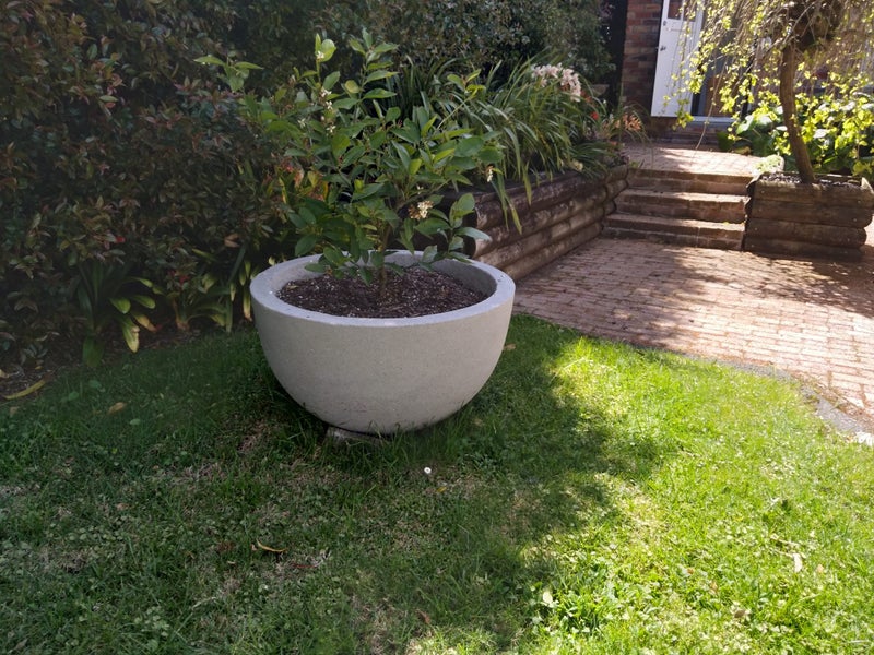 Round Planter - half sphere 845mm diameter x 500mm high Carousel 2