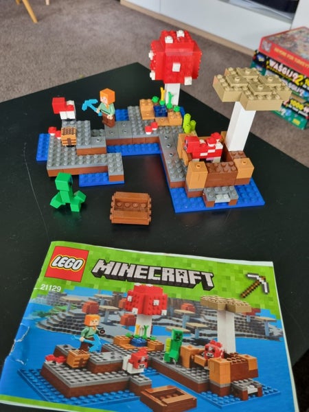 Minecraft lego set Carousel 1
