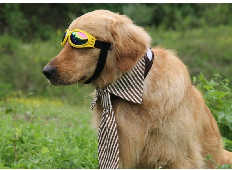 Super Cute Foldable Waterproof Goggles Uv Protection Dogs Sunglasses Dog Clothin Carousel 6