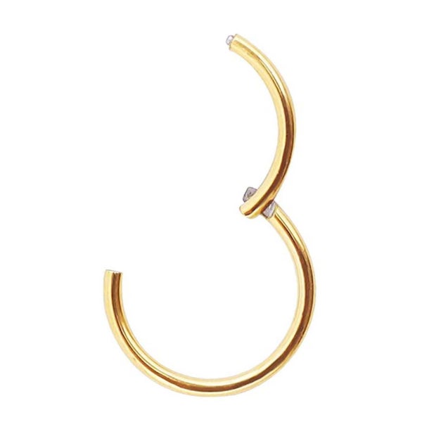 6mm Gold Piercing Ear Tragus Eyebrow Cartilage Septum Lip Nose Hoop Clicker Ring Carousel 1