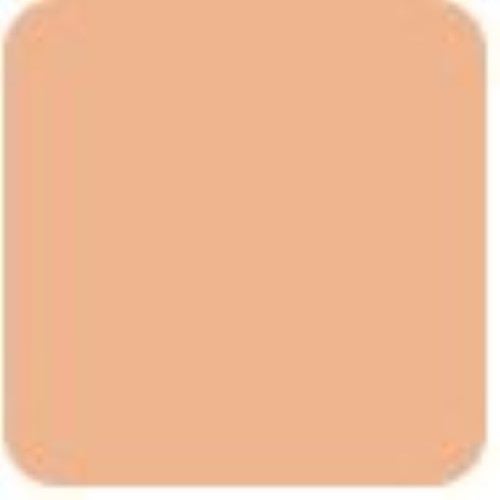 ADDICTION Perfect Mobile Touch Up - # 006 (Rose Beige) 2ml/0.06oz Carousel 4