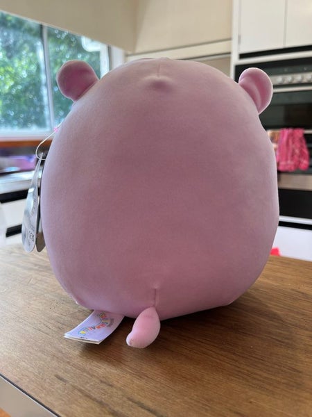 Hanna squishmallow hippo NWT 8” squishmallows Carousel 3
