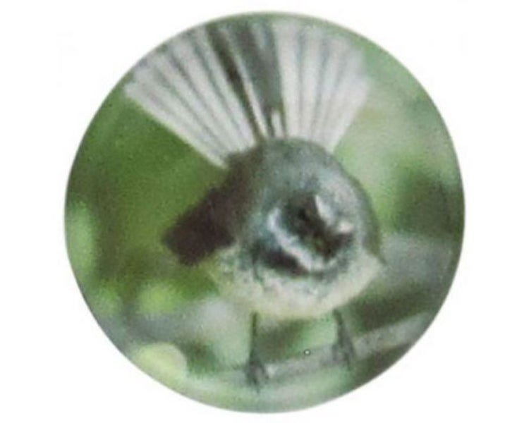 Snap REDFOX-Piwakawaka Fantail Carousel 1