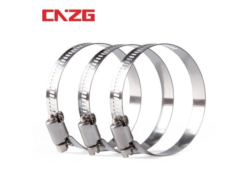 1/10/100pcs Hose Clamp Adjustable Drive Hose Clamp Fuel Line Worm Size Clip Carousel 1