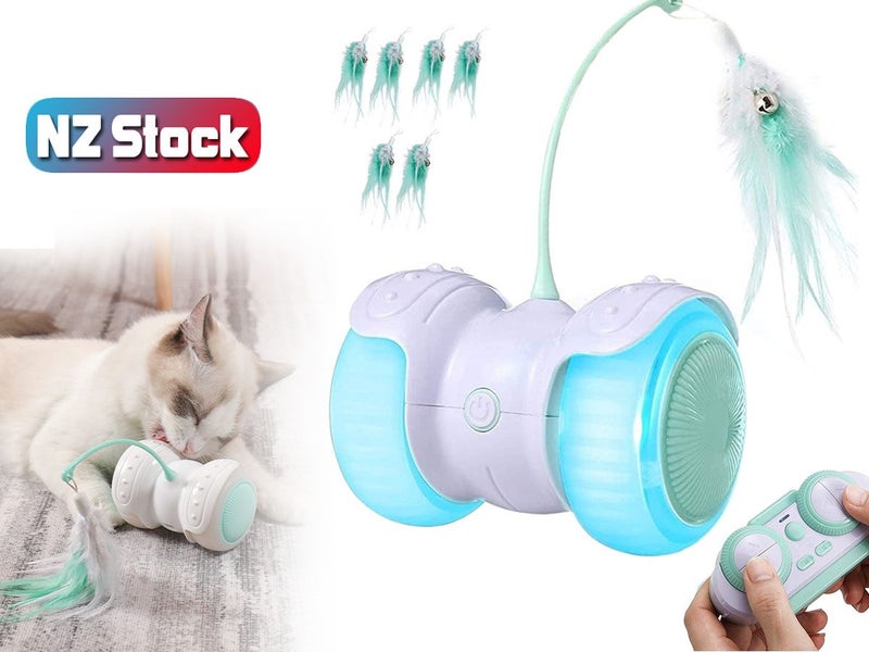 Interactive Pet Kitten Toys NZ Clearance Carousel 1