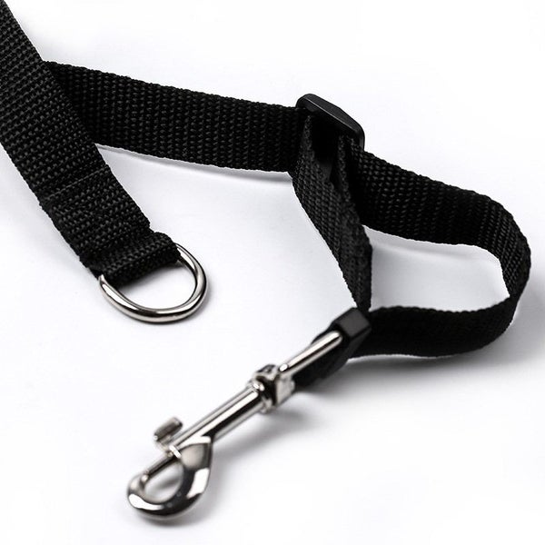 Dog Lead or Puppy Lead - NZ Stock Sale Carousel 3