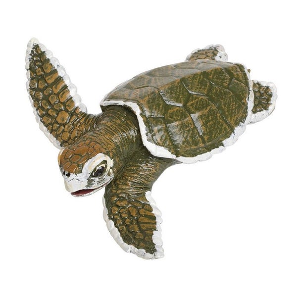 Safari Ltd Kemps Ridley Sea Turtle Baby Carousel 1