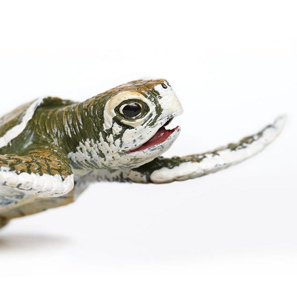Safari Ltd Kemps Ridley Sea Turtle Baby Carousel 2