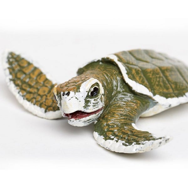 Safari Ltd Kemps Ridley Sea Turtle Baby Carousel 4