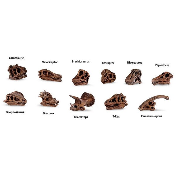 Safari Ltd Dinosaur Skulls Toob Carousel 2