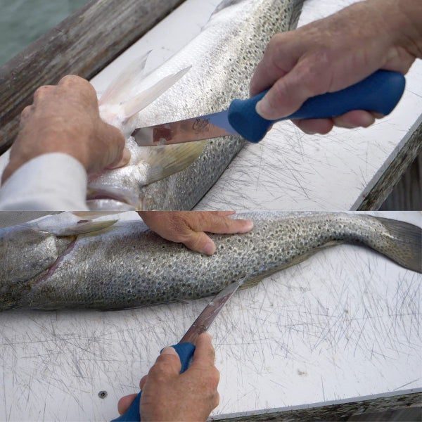 Cuda 6" AquaTuff Curved Boning Knife Carousel 7