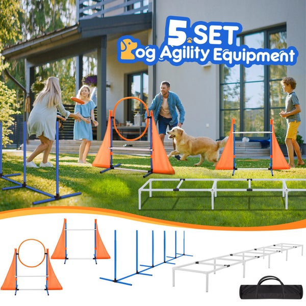 Dog Agility Training Equipment Carousel 2