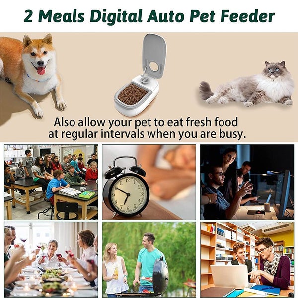 Digital Automatic Cat Feeder, Smart Pet Feeder with 48 Hour Timer Carousel 2