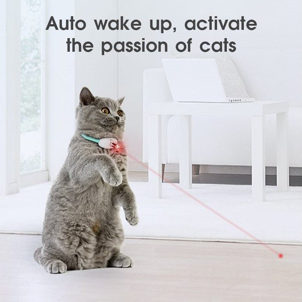 Smart Laser Teasing Cat Collar Electric USB Charging Carousel 6