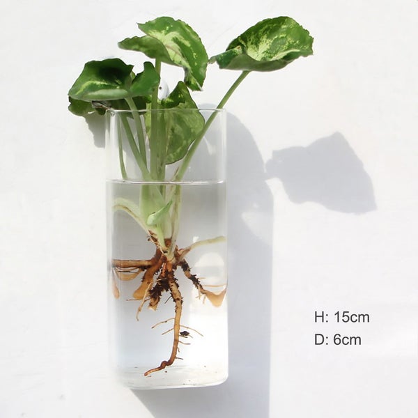 Wall Hanging Glass Flower Vase Terrarium Wall Fish Tank Aquar Carousel 1