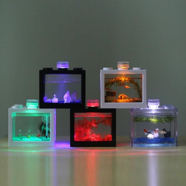 Cylinder Eco Cylinder Accessories Micro Landscape Lamp LED Light Carousel 2