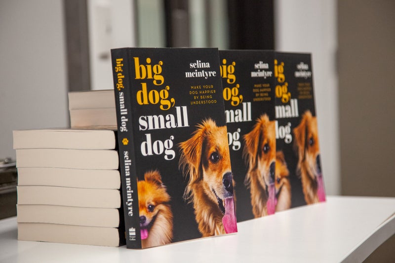 Dog Behaviourist Waikato/Hamilton Carousel 3