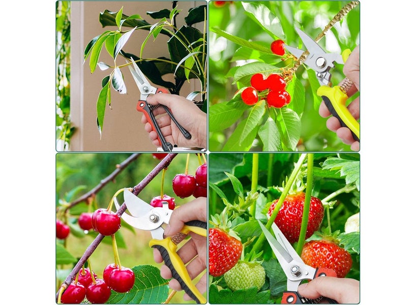 Garden Tools Pruning Shears Set Carousel 2