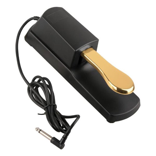 Digital Piano Sustain Pedal With Double Pole Reverse Switch Non-Slip Carousel 1