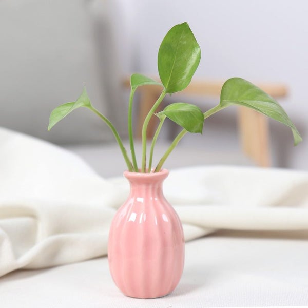 Modern Minimalist Ceramic Small Vases Artificial Flowers Dry Flowers Carousel 1