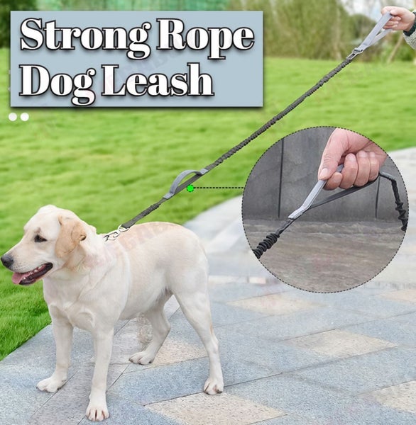PTN NEW Dog Lead Sale - Sale Sale Carousel 2
