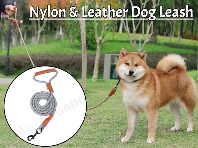 PTN NEW Dog Lead Clearance Clearance Carousel 2