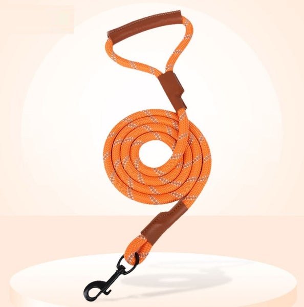 PTN NEW Dog Lead Clearance Clearance Carousel 8