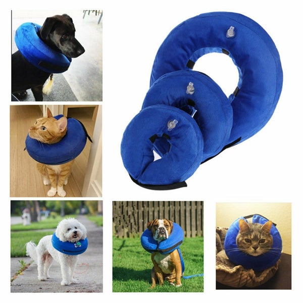 NEW Inflatable Dog Collar - New Carousel 2