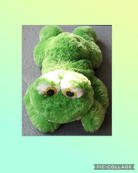 Therapy weighted sensory pet frog medium sized Carousel 1