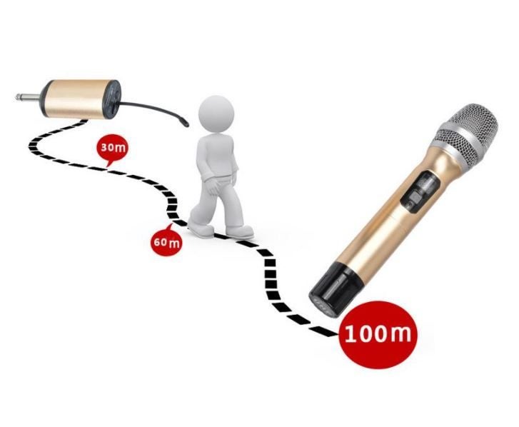 DOUBLE UNIVERCAL WIRELESS MICROPHONE64438477187715113