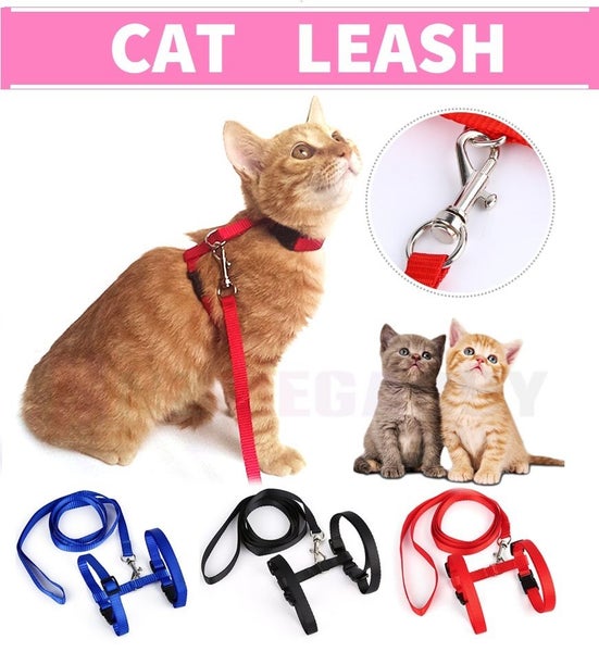 PTN NEW Cat Harness sale sale Carousel 1