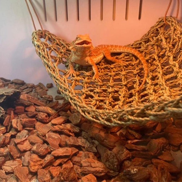 2 Pack Bearded Dragon Hammock, Reptile Climbing Decor, Lizard Lounger Carousel 5