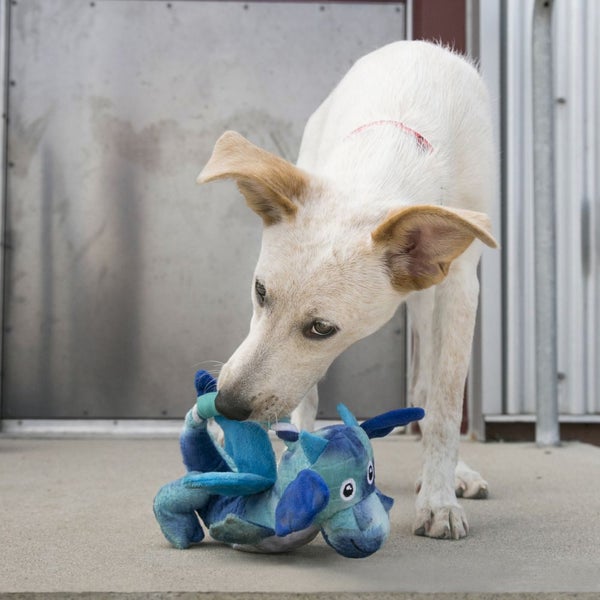 KONG Dragon Knots Medium/Large Carousel 3