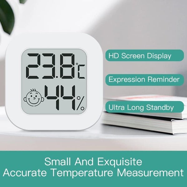 Thermometer Hygrometer Carousel 2