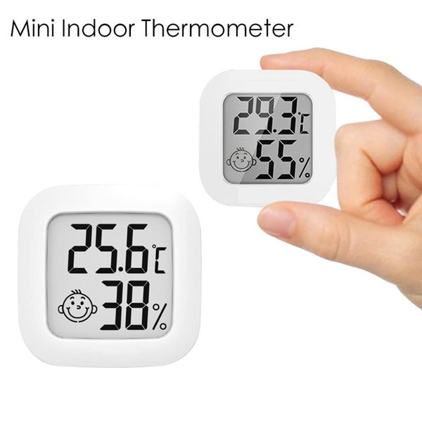 Thermometer Hygrometer Carousel 1