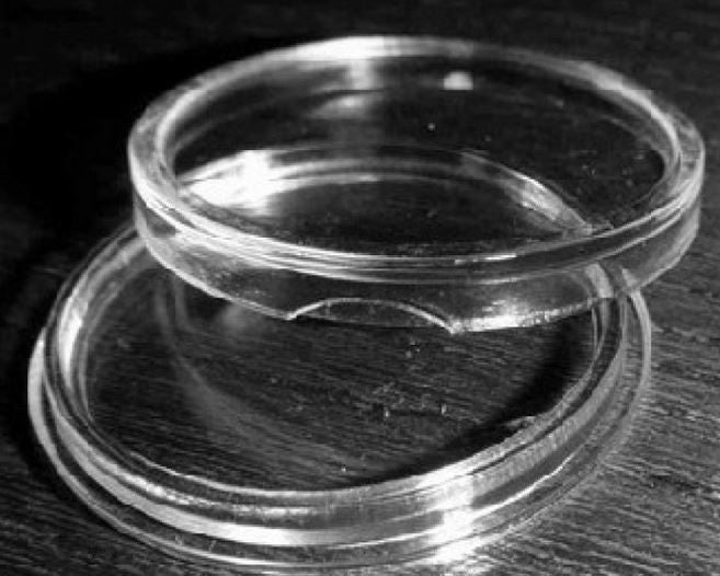 10 x 40mm Coin Capsules Carousel 2
