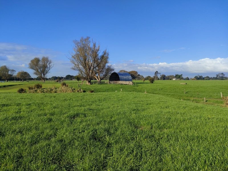 Waikato Rural properties Trade Me Property