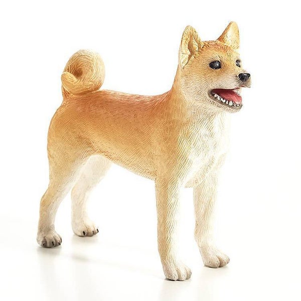 Mojo Shiba Inu Carousel 1
