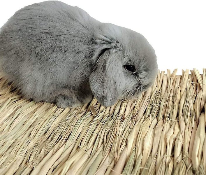 Grass Mat Woven Bed Mat For Small Animal Bunny Bedding Nest (1 Pack) (1 Grass Ma Carousel 2