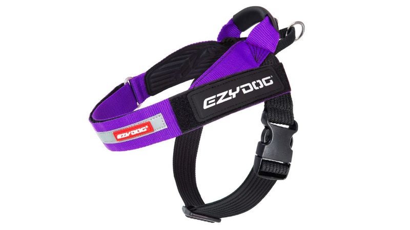 Dog Harness - ED Express Small (Purple) Carousel 1