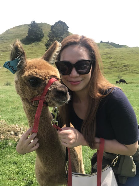 Pet Alpacas for Sale Carousel 2