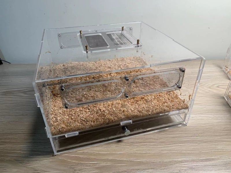 luxury large mealworm farm (farm only) Carousel 1