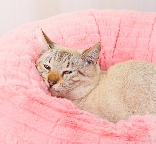 Warm Cat Bed Plush Puppy Cave Cat Deep Nest Carousel 2