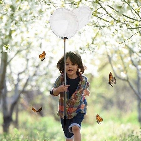 Insect and Butterfly Net with 12\\\\\\\" Ring,24\\\\\\\" Net Depth,Handle Extend Carousel 9