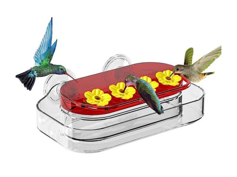 1 X Window Hummingbird Waterer with Suction Cup Plastic Bird Watching Waterer Carousel 1