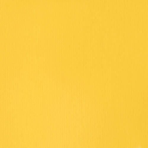 Liquitex Professional Soft Body Acrylic Paint 59ml CADMIUM-FREE YELLOW LIGHT 889 Carousel 3