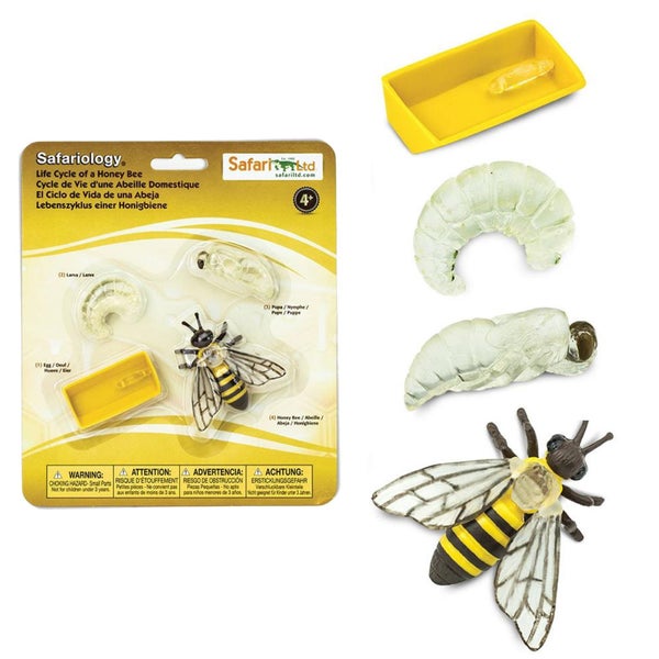 Safari Ltd Life Cycle of a Honey Bee Carousel 1