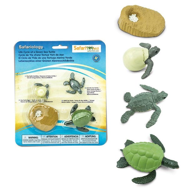 Safari Ltd Life Cycle of a Green Sea Turtle Carousel 1